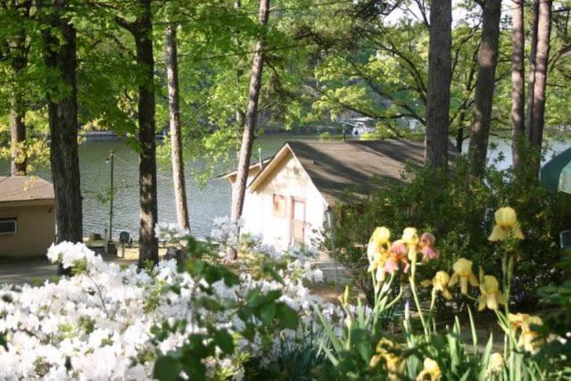 Edgewater Resort Cottage #1 Χοτ Σπρινγκς Εξωτερικό φωτογραφία